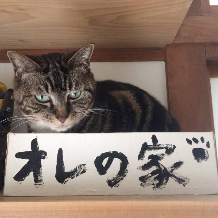 74c89683 fa43 4f92 a8fc c492b286abe2 1526903560495