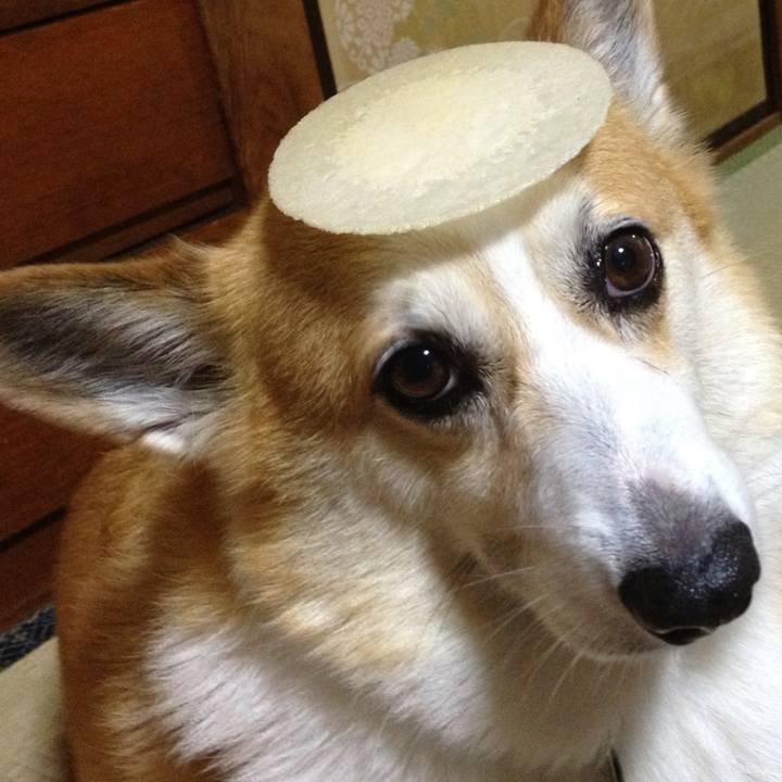 74c8a313 d7a0 4dcf a27f 6a3cac14f9f5 1583110627939