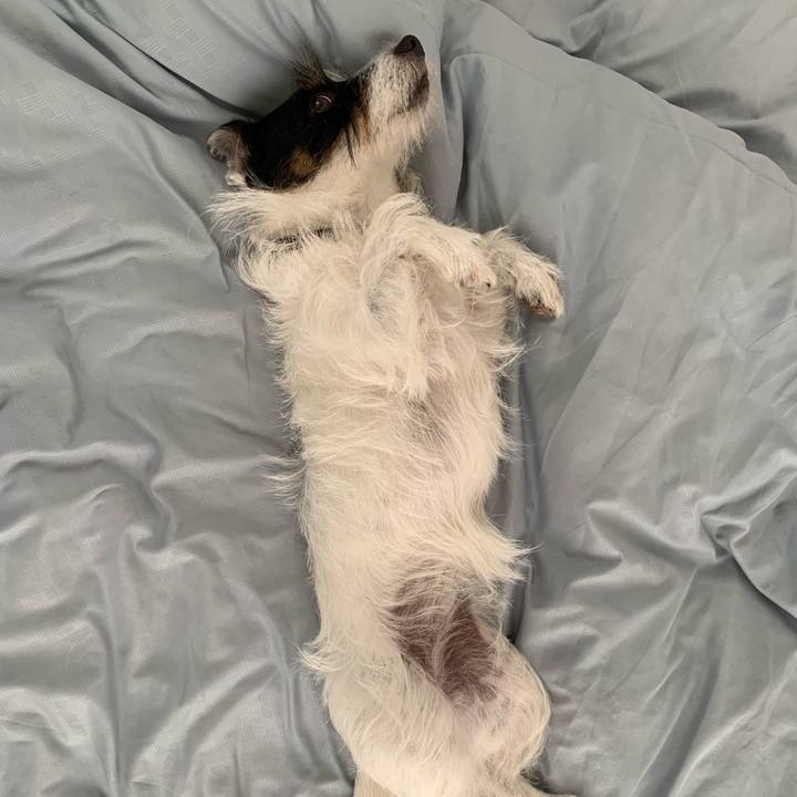 74c8e92b 7717 4fab 980b 3412288bb397 1566524424845