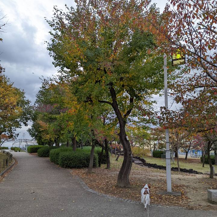 74c90a7a 22fb 4907 9b89 25b2f2171722 1636707803921