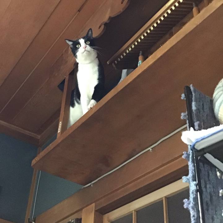 74c91ec4 0781 4e20 96d6 446a00b98293 1758249666719