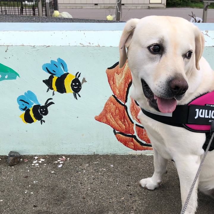 74c9632f 52af 4b67 aae7 12a46b74a7e2 1655970650189