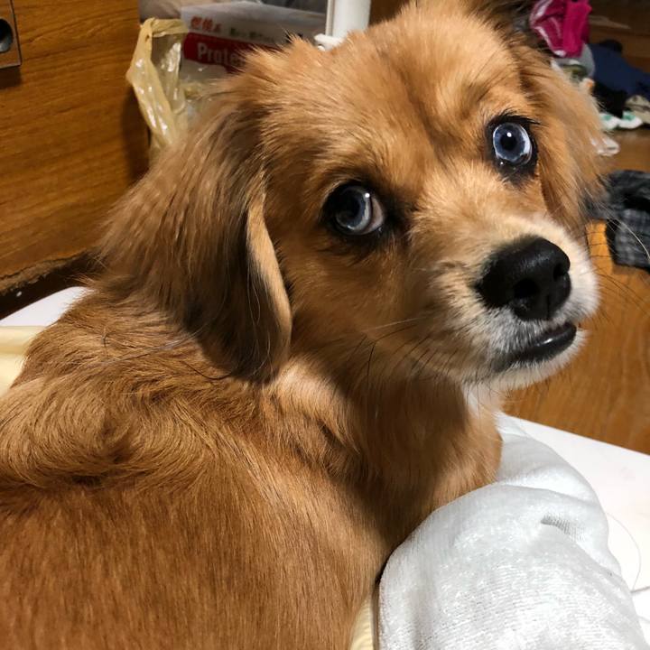 74c9793a a688 43c8 b515 a80fd067ccb5 1509359630605