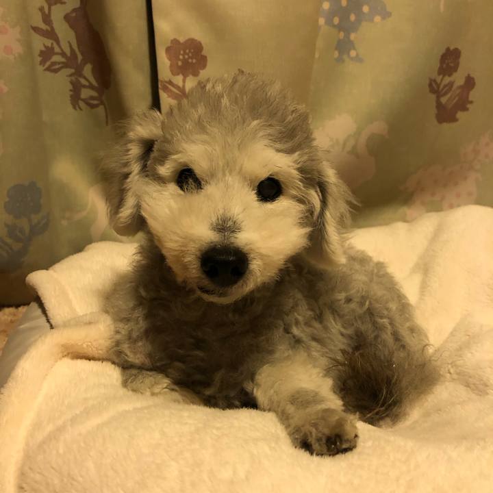 74c987c7 337d 4529 9c73 f0d28394a2d9 1652970865609