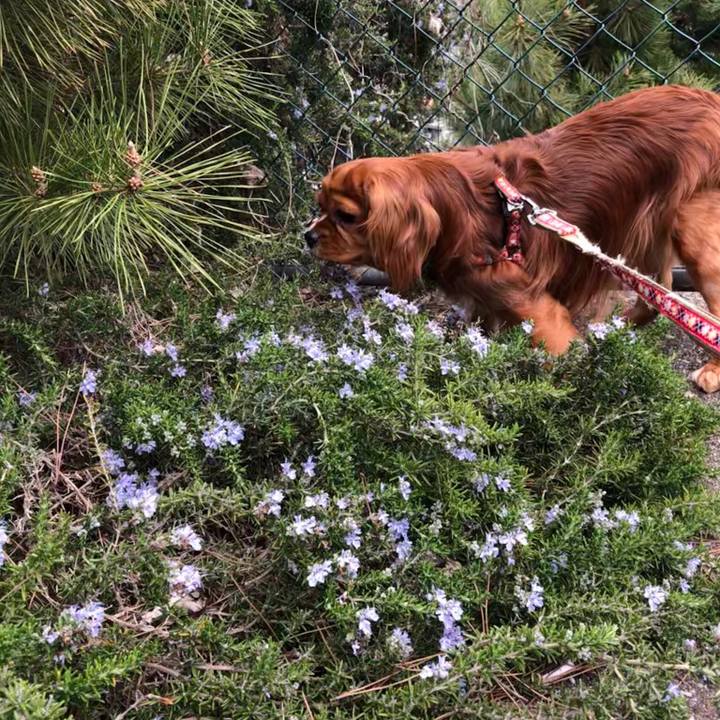 74c9d859 40f0 4d35 90f3 4b02204b169b 1553399938817