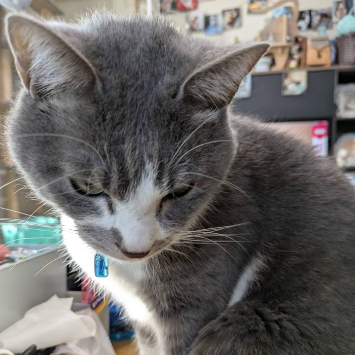 74c9d9e6 2c01 4260 be06 9d32bc3f2b9e 1765931209691