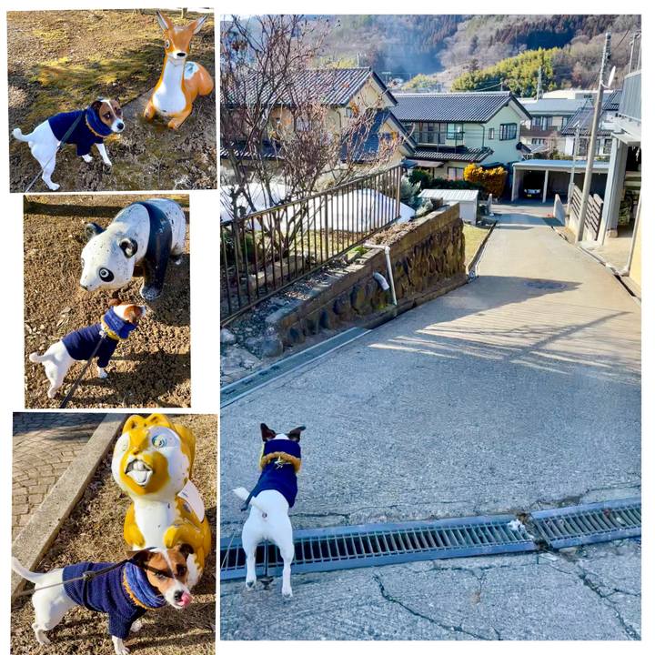 74c9e9ea af36 420c 8d92 b8fac4e9f666 1646818349845