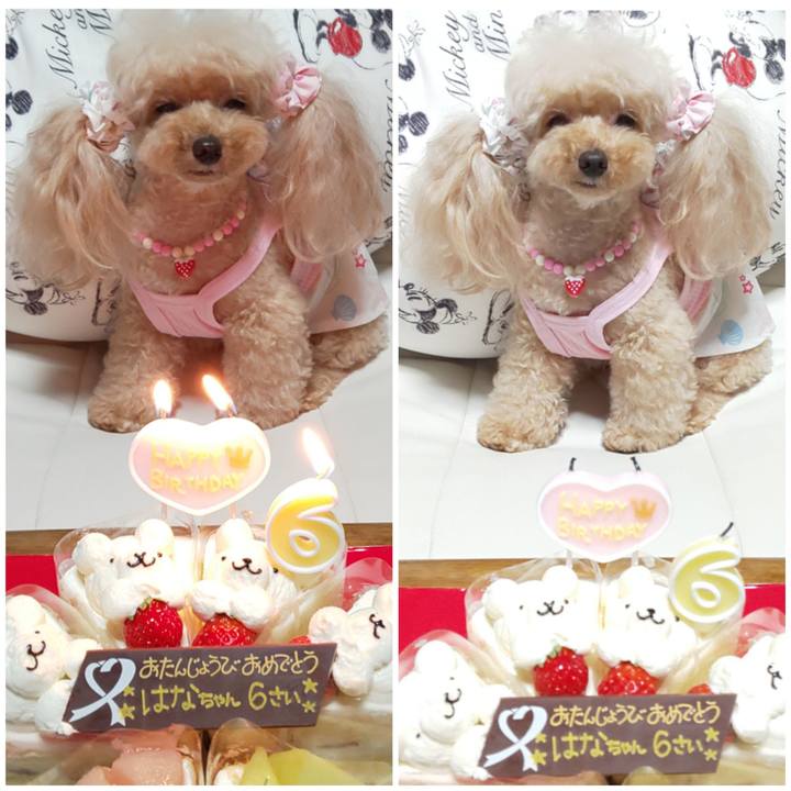 74ca3b8e b3ef 4bc8 8f44 d4a512650716 1597155091945