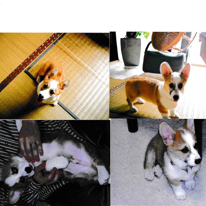 74ca59d2 d357 46a3 93ed f1b2a4549e2a 1527654662617