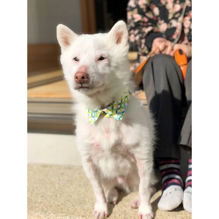 74ca7d83 1bcc 437d b0b1 52149aadf317 1612863021401