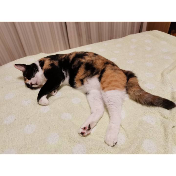 74ca8236 1560 4923 a6a4 277a35f7f09c 1660102311080