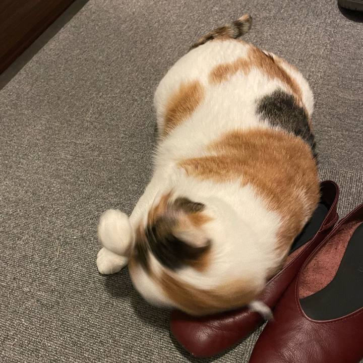 74caea14 8045 403f 83e1 2c95b838d472 1648813973117