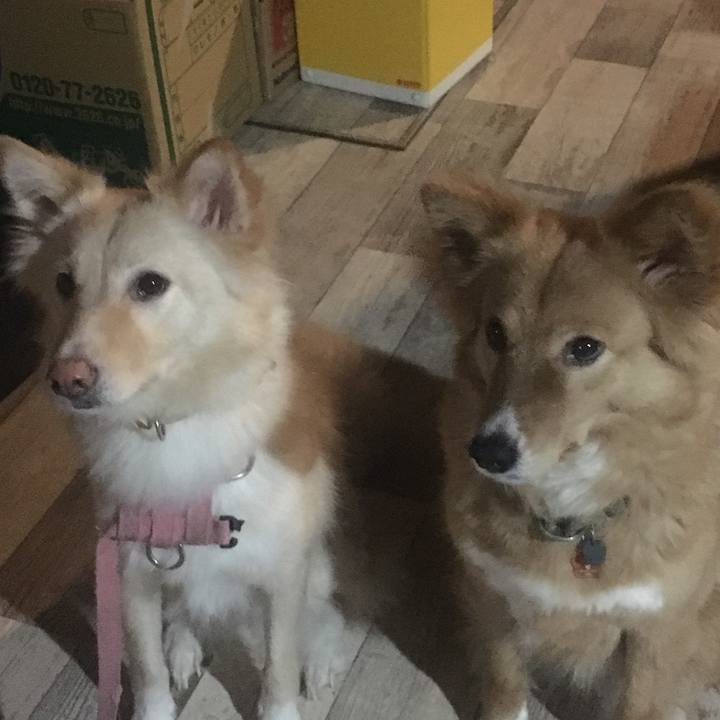 74cb096e 7e30 425c 8630 3402972d1c57 1529933609235