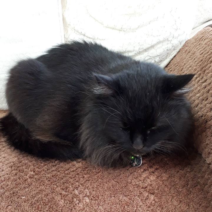 74cb4cef 2472 49b9 9f10 277f77ccf2a9 1521761070218