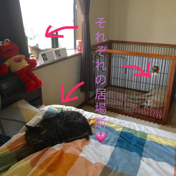 74cb5e0d 1921 4ec1 8752 b9b7bc101018 1583327477843