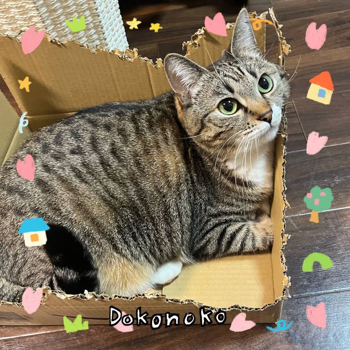 74cb5f21 218f 4a93 9b72 8c089df94ed9 1741424739522