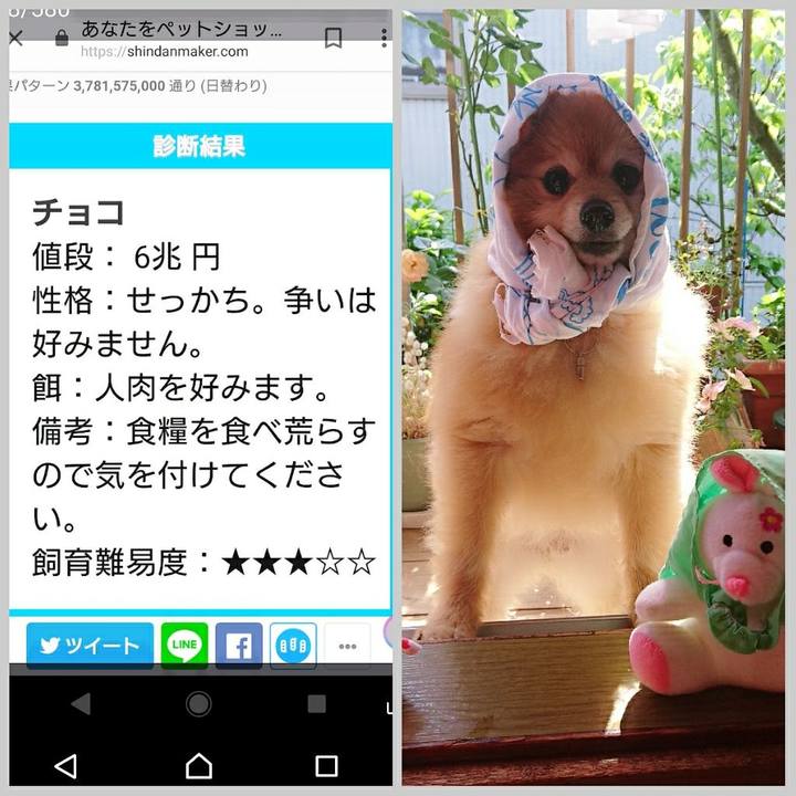 74cb8643 4025 4485 bb87 317a55ed0d47 1529967611394