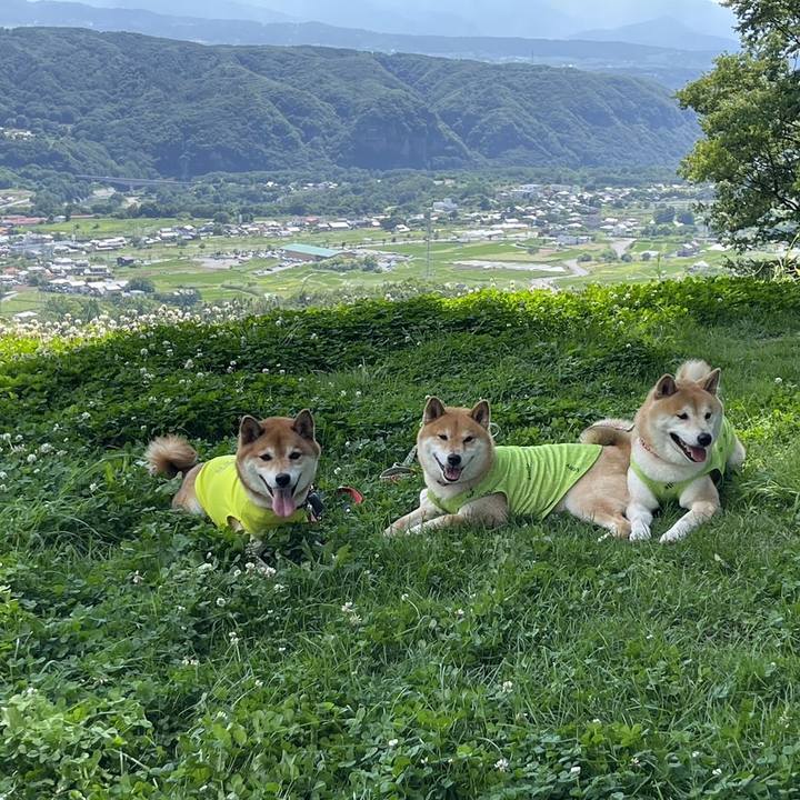 74cbbc06 42e3 4df9 8d5d fb10f504515b 1687835964256