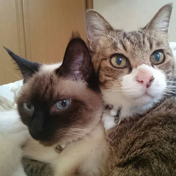 74cbc5c0 7933 4a72 9a4b 90dc742dc95c 1540208874000