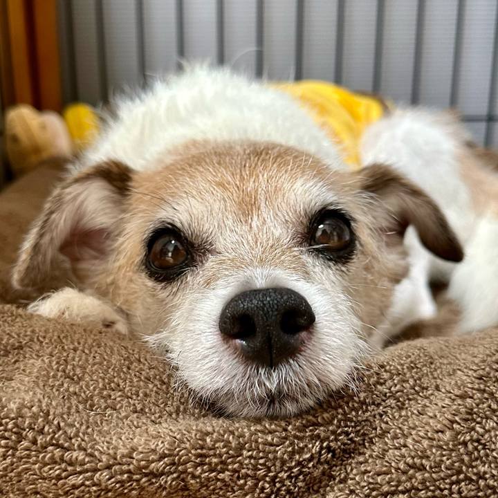 74cc1a37 ae25 422b bf81 d0da948e11e6 1700130010209