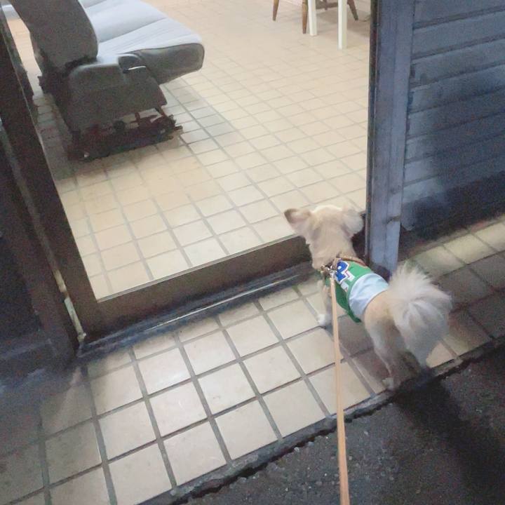 74cc2d79 47f9 4580 9060 6fca6a9bc18a 1690197561712