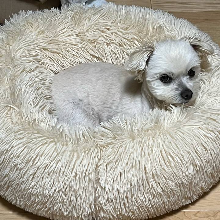 74cc5d82 ce56 4af7 95e2 f81ef4698c3e 1652353123853