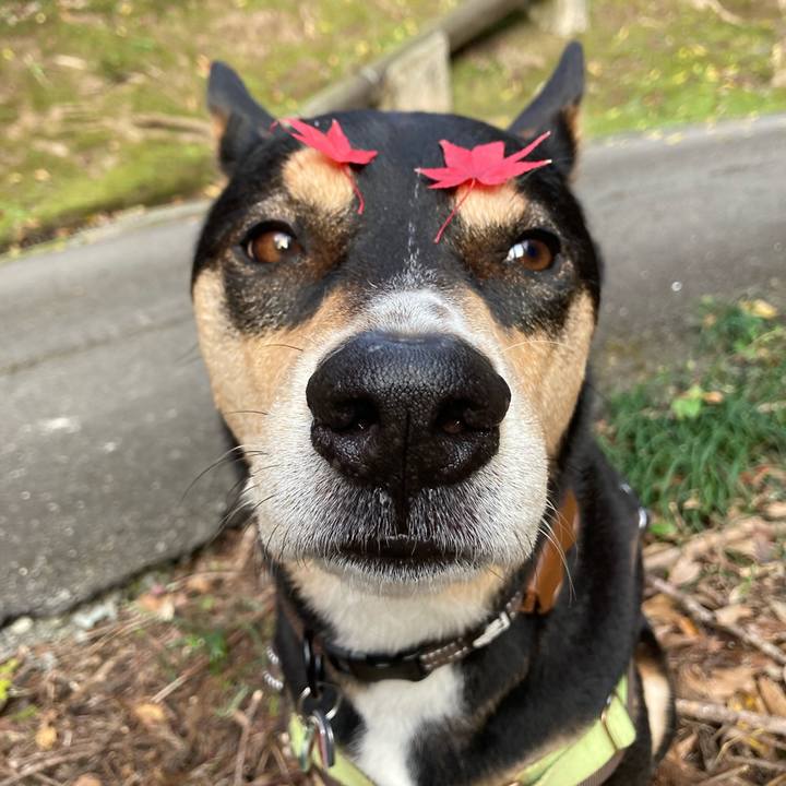 74cc9110 6a53 47f8 b8cd 667accbe84ca 1700877819396