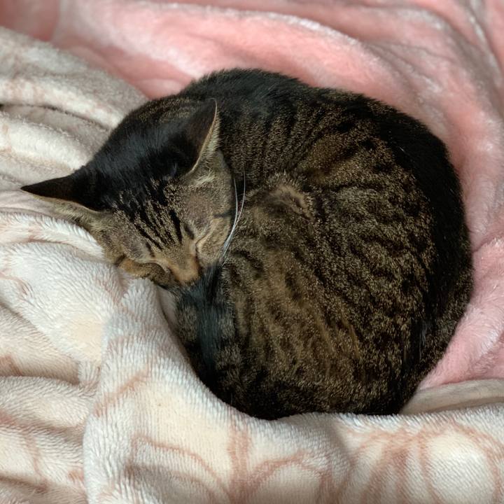 74cc9148 c082 4365 a24f 1227788dac2d 1580262293128