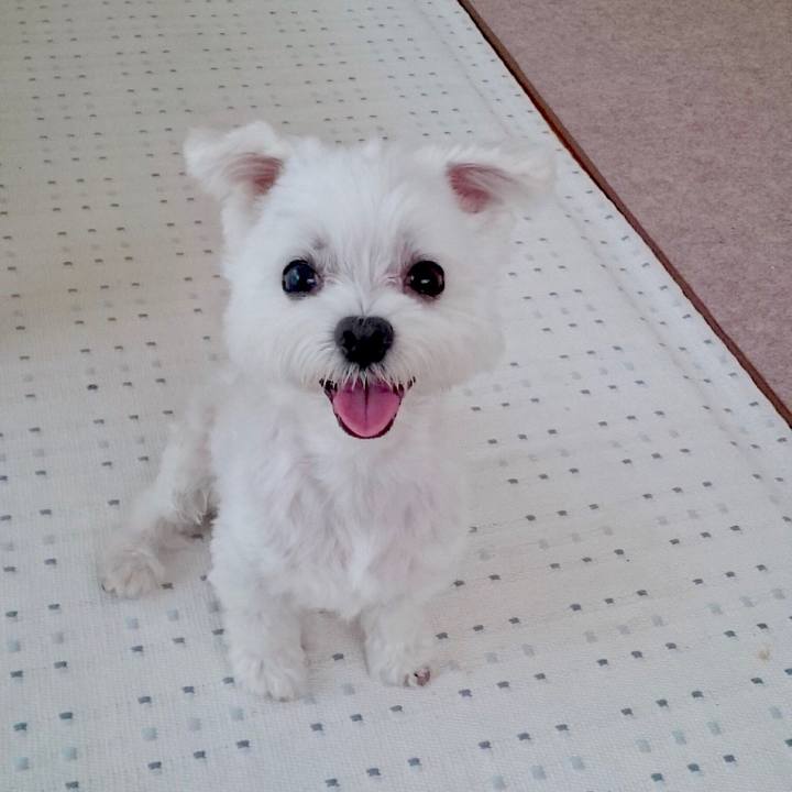 74ccc660 b3bb 4a19 a9d6 da98e11531a2 1533989343838