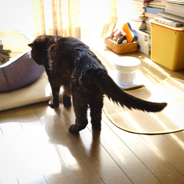 74cce865 129e 4d08 8d65 64780e4ac9f4 1644595364327