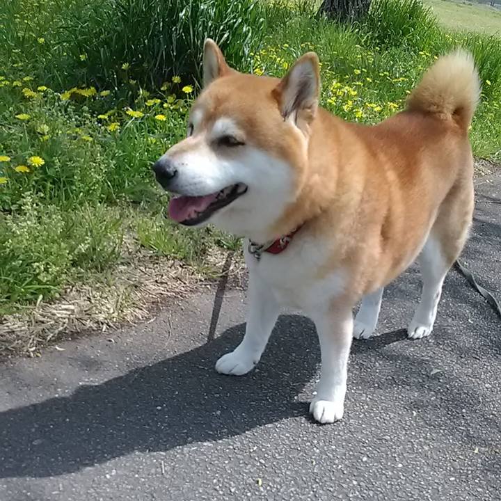 74ccea17 5308 413a bcfb 036882645b1a 1682206535515