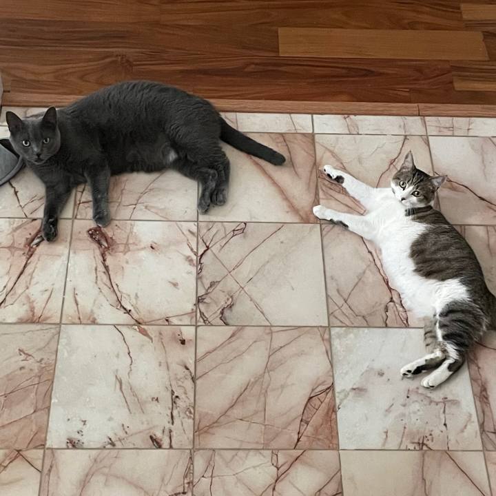 74ccf706 d1ee 42fb 8b78 55383daee3b6 1696297967009