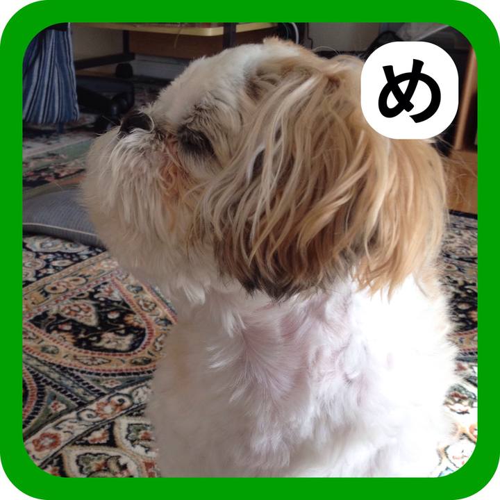 74ccfa1e 9964 4b79 9146 c2f3bfb7afdc 1515213799279