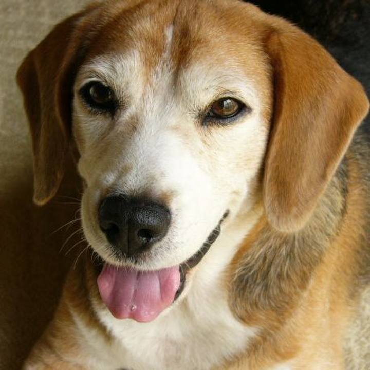 74cd28dd 1f71 4f63 9327 42a5b6cc9ef7 1640220356227