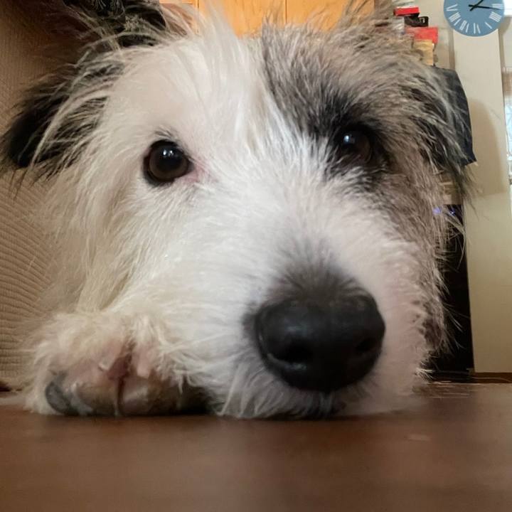 74cd7a1b 841c 4a5f bdf2 bf94872160d9 1662535990232