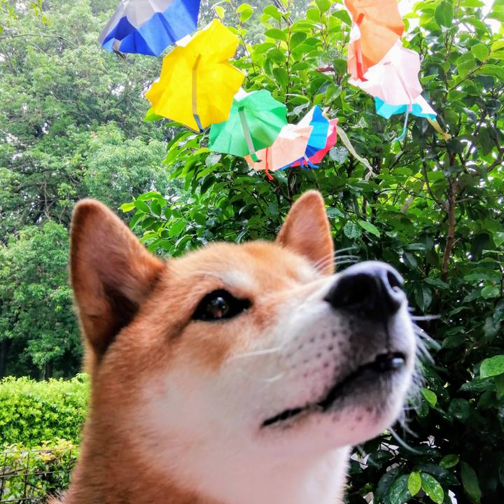 74cd8327 aac4 44ff 922d a1336125d3e5 1594782227138