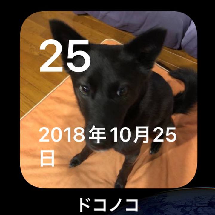 74cd8741 42aa 4672 a250 eb4da5f2d4fc 1635154445369