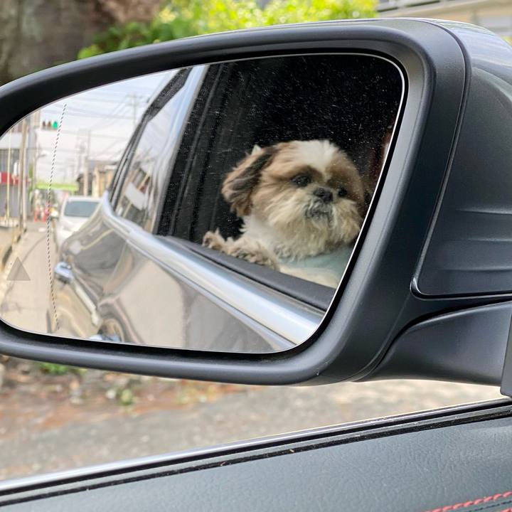 74cd883d dfd3 4e97 b441 248dbf960cb3 1619227743982