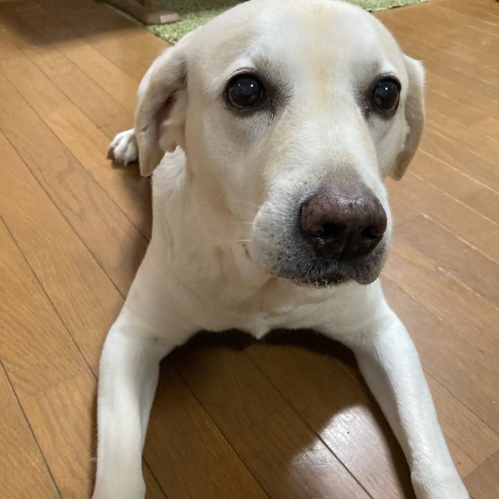 74cdb29a ff40 4e04 b884 a1aae8582b08 1753362955765