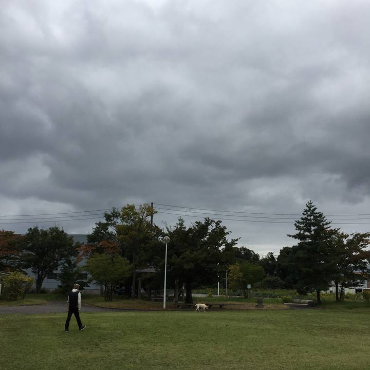 74cdb6db e330 45c2 a4b5 11cc0f65a609 1508047958049