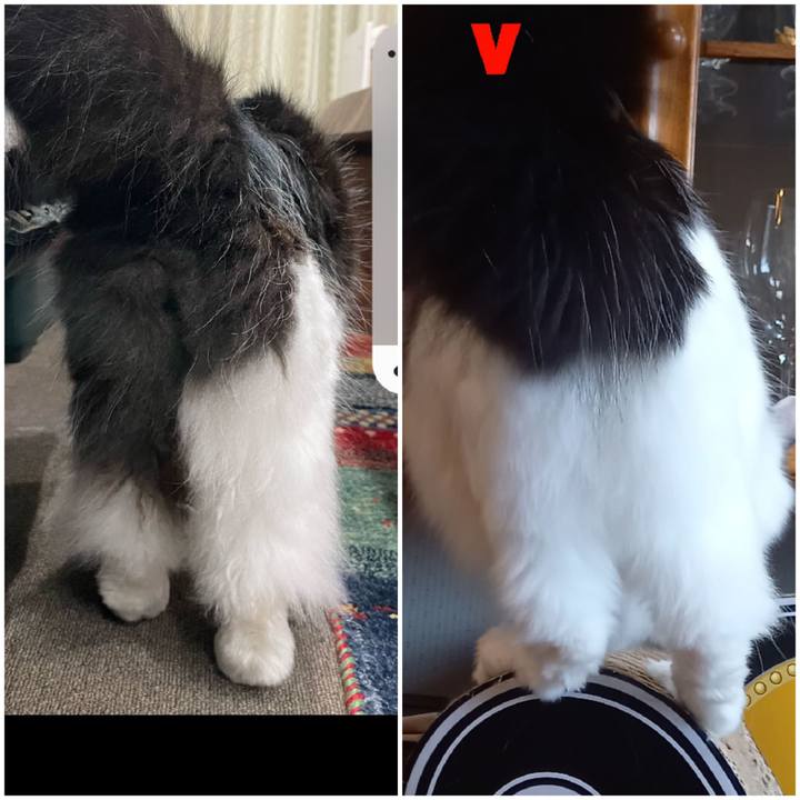 74cdbb78 ad37 4882 b84c 79e60796c5bd 1650268149816