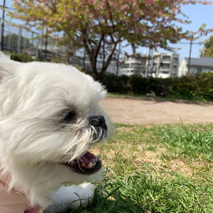 74ce2695 b8f7 40e9 ba72 989d85e27329 1648393138080