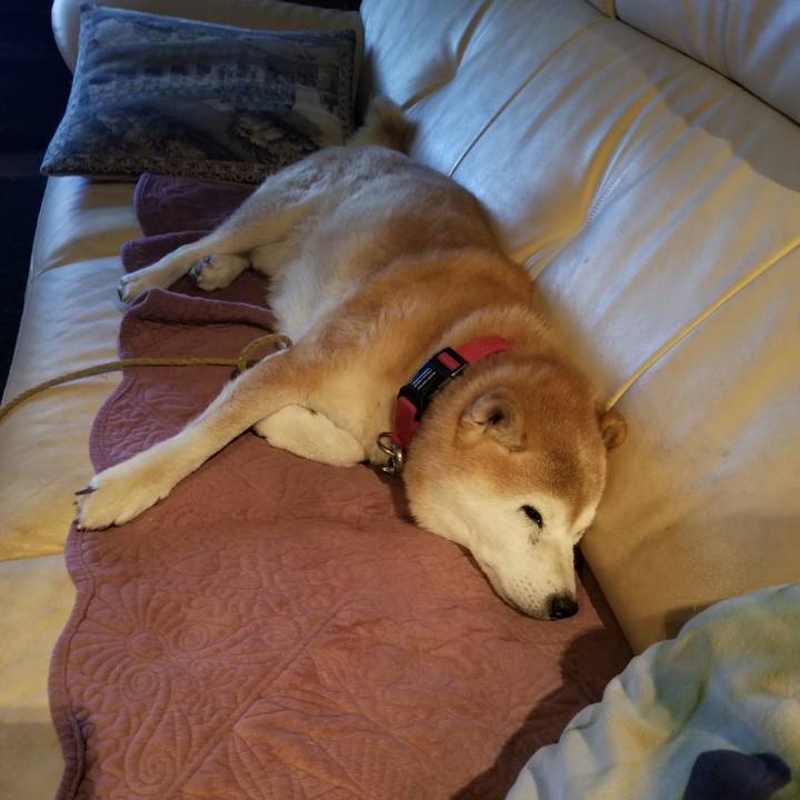 74ce353a cad0 43d9 af4e d3af6e39de69 1729422335274