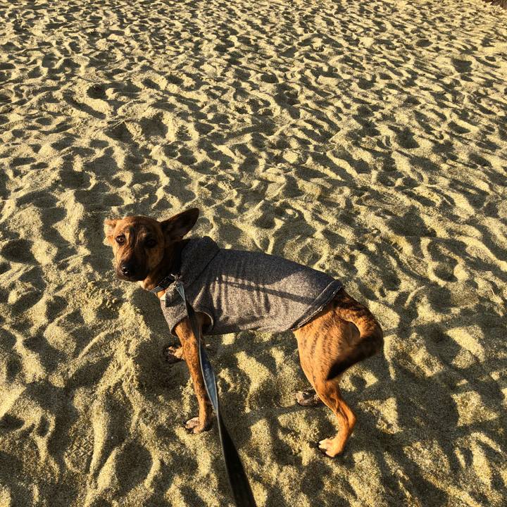 74ce3cf3 8554 4a4f 8b0b 0f9174d6bc4e 1578400318789