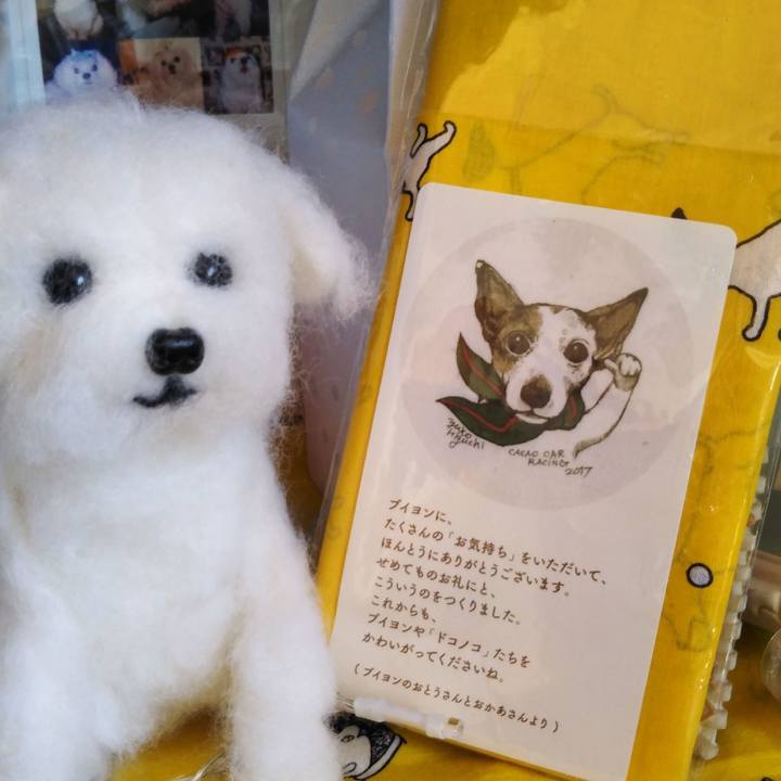 74ceac74 35ed 4144 970d ec8f6652c626 1553144160328