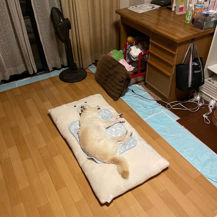 74ceaef6 9920 4d82 aa5b bcb4de4d98fe 1661689816924