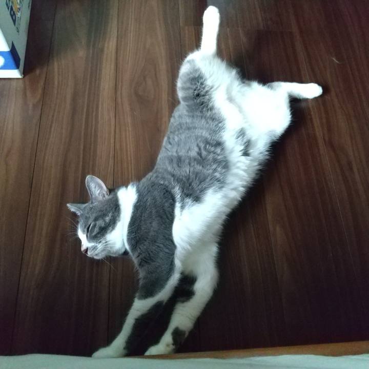 74cec380 c015 49b0 9470 e8b7634385a6 1630195337187