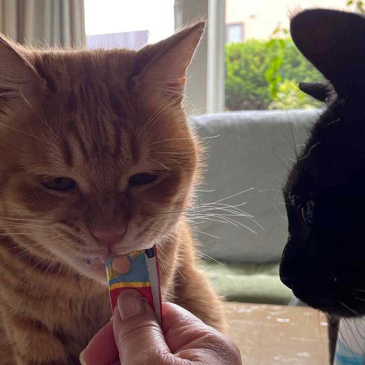 74cece84 b6e6 4389 86be 763e07ebbf5c 1656764735121