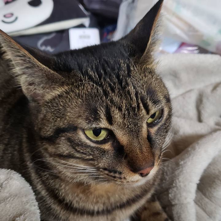 74cef28f aff5 477d 9c10 c20cdb5ce5a6 1587181829311