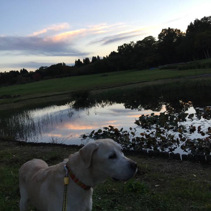 74cf0d26 8f3d 47a8 a5ae 86cefc73e856 1597358970126